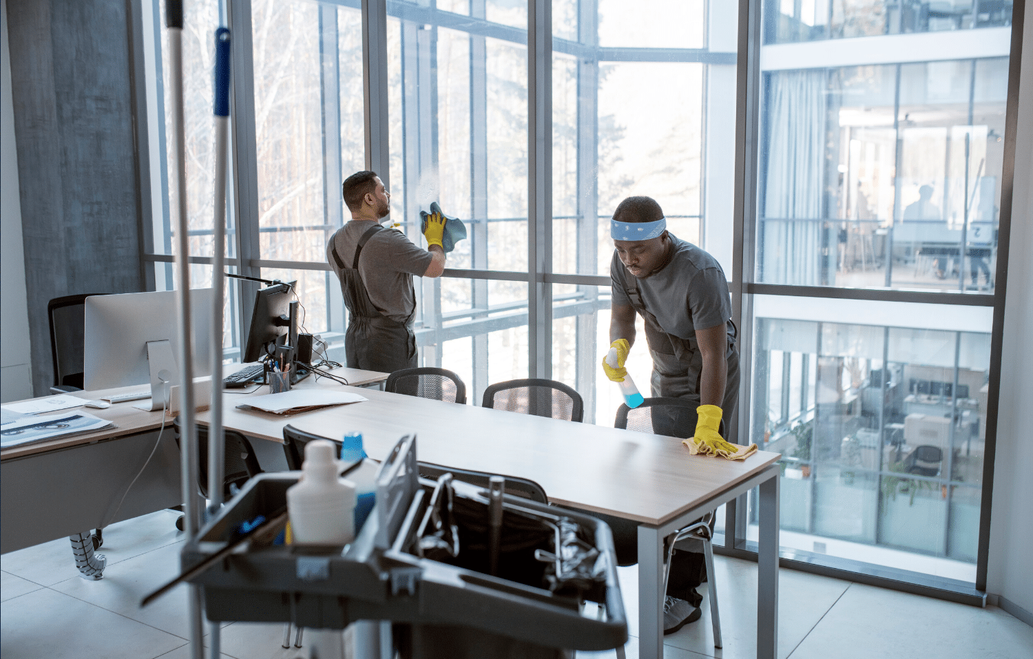 Commercial Window Cleaning